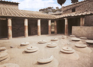 Cella vinaria con Dolia interrati Cella vinaria con Dolia interrati