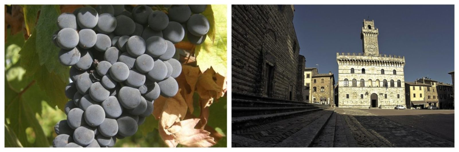 Montepulciano-vitigno-città
