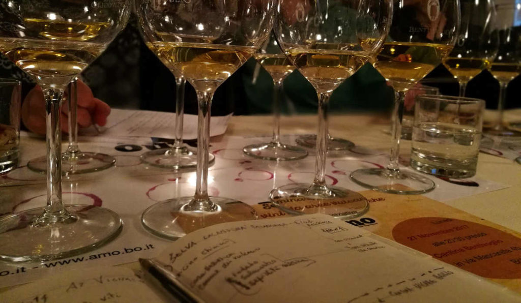 io durante un seminario sul trebbiano io durante un seminario sul trebbiano