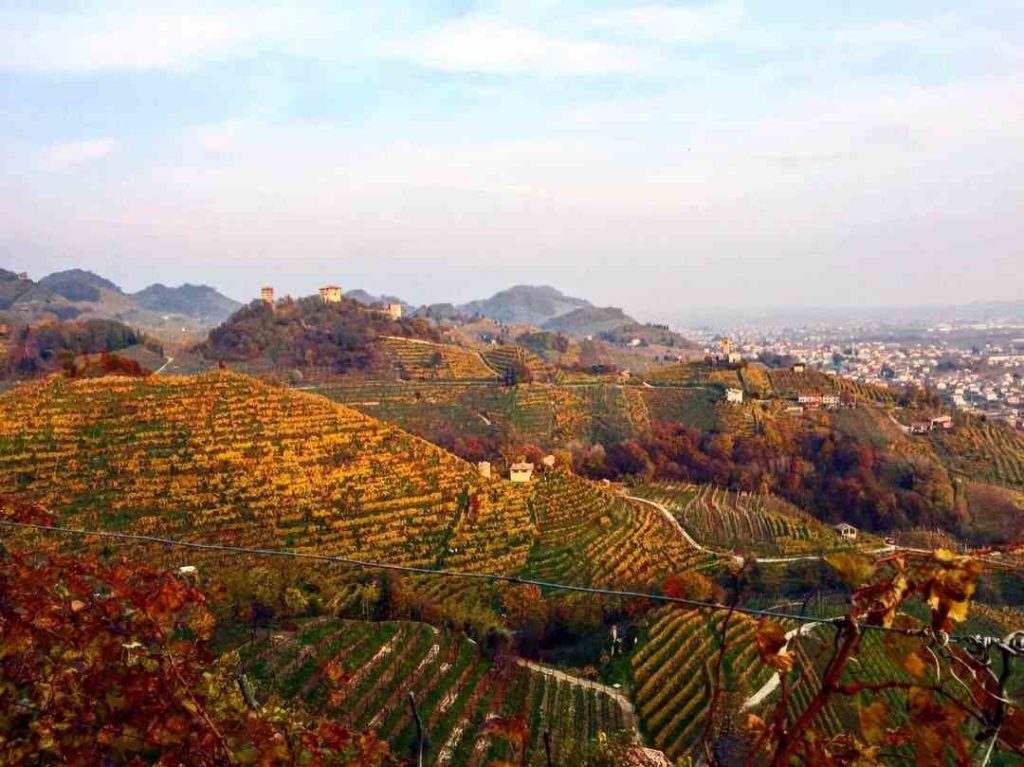 le colline di Prosecco in autunno