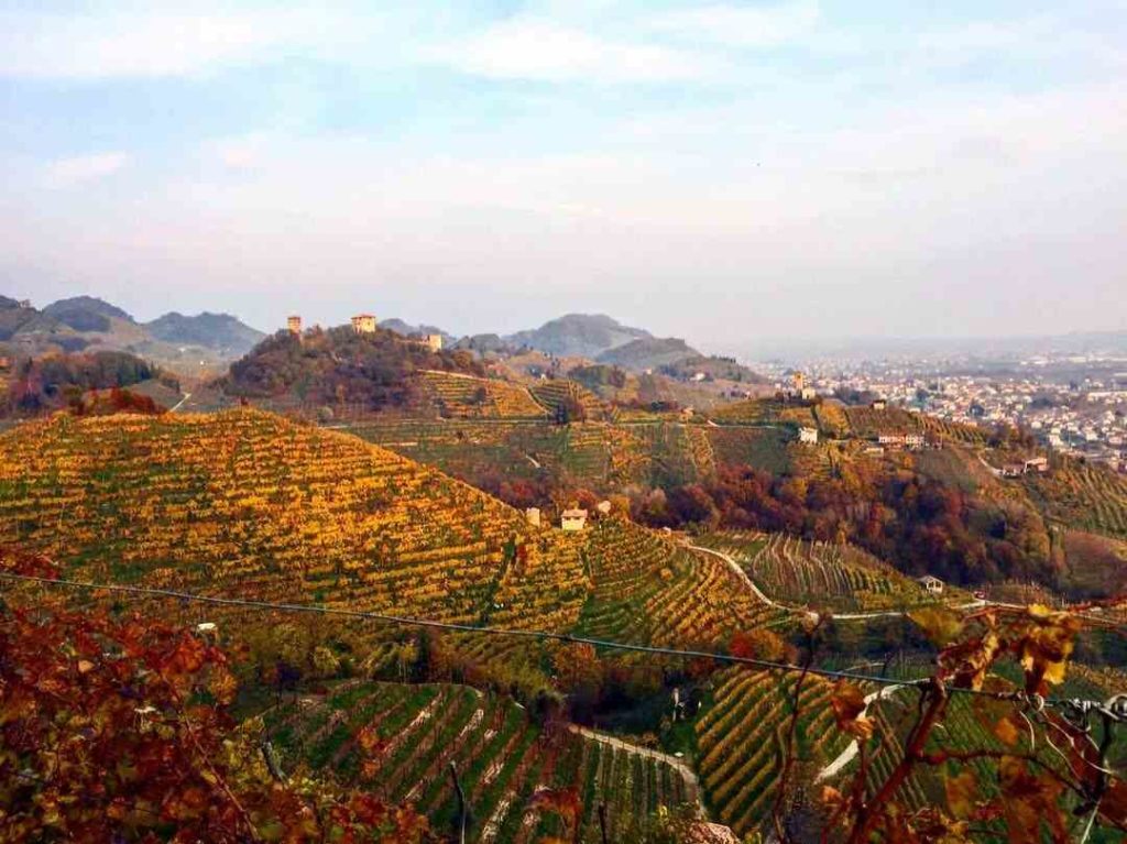 le colline di Prosecco in autunno le colline di Prosecco in autunno