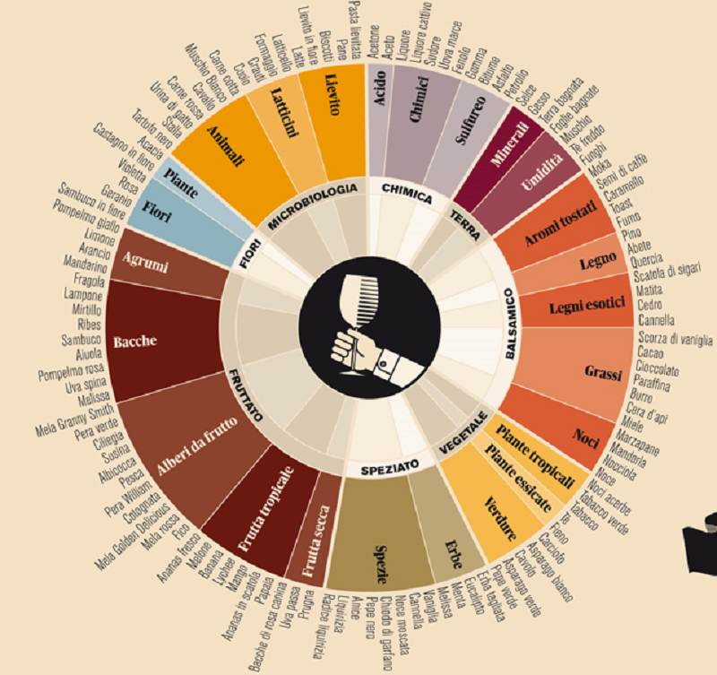 ruota dei profumi del vino di Francesco Franchi