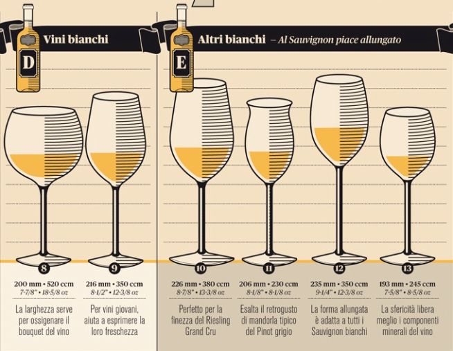 Bicchieri da vino bianco nell'infografica di Franchi