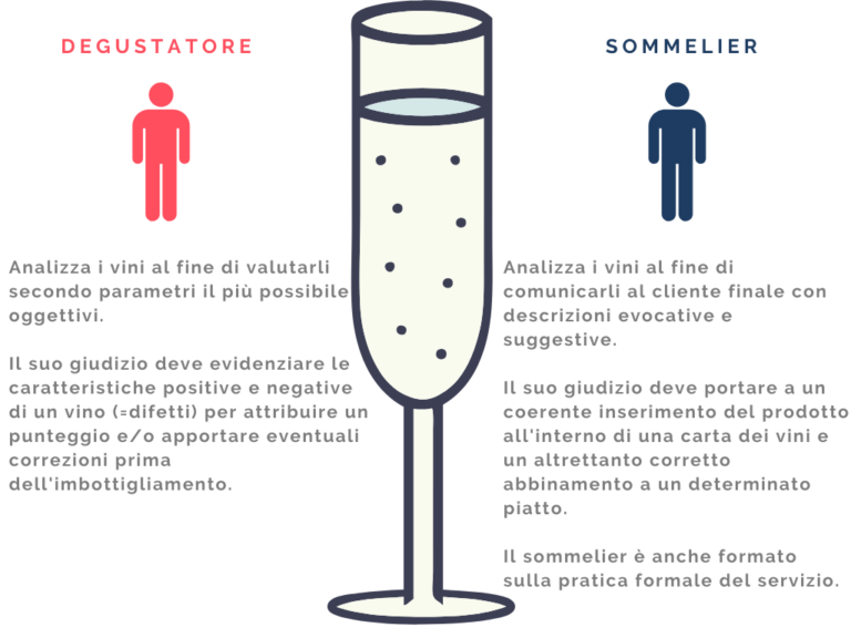 Differenza Tra Assaggiatore Di Vino E Sommelier